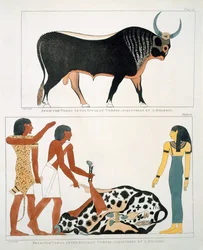Murale dalle tombe dei re di Tebe, scoperto da G. Belzoni, tavola 13 da 